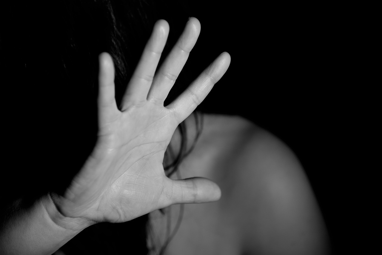 Huiselijk geweld Afbeelding van Nino Carè via Pixabay
