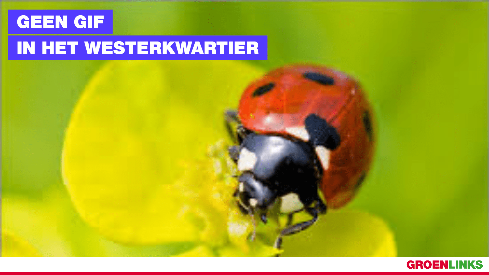 petitie tegen gif in westerkwartier groenlinks d66