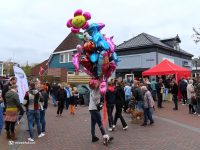 Oranjemarkt in Zuidhorn Koningsdag 2022