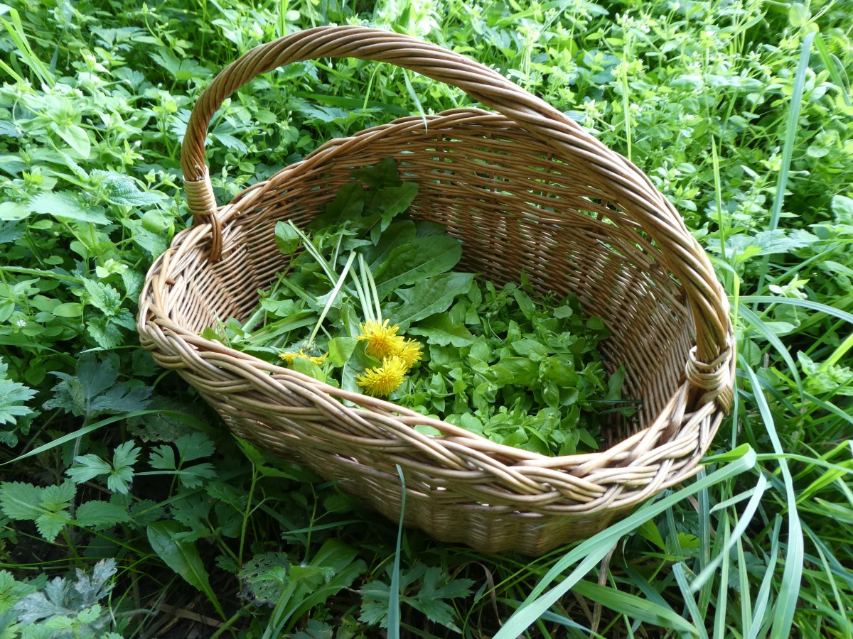eetbare wilde planten