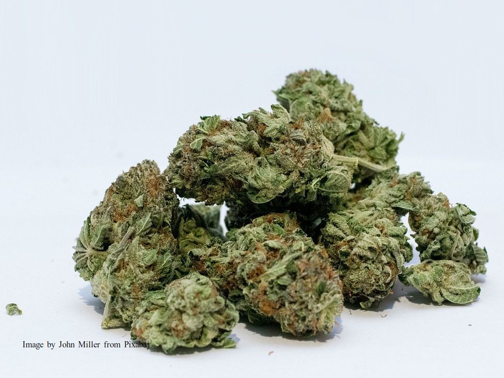 drugsdealer, zuidhorn, aanhouding, politie westerkwartier
