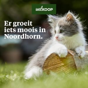 welkoop noordhorn – Westerkwartier|NU welkoop noordhorn