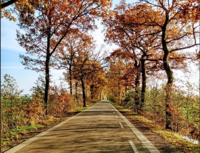 Nieuwe fietsroute Leek-Zuidhorn (archieffoto Pasop)