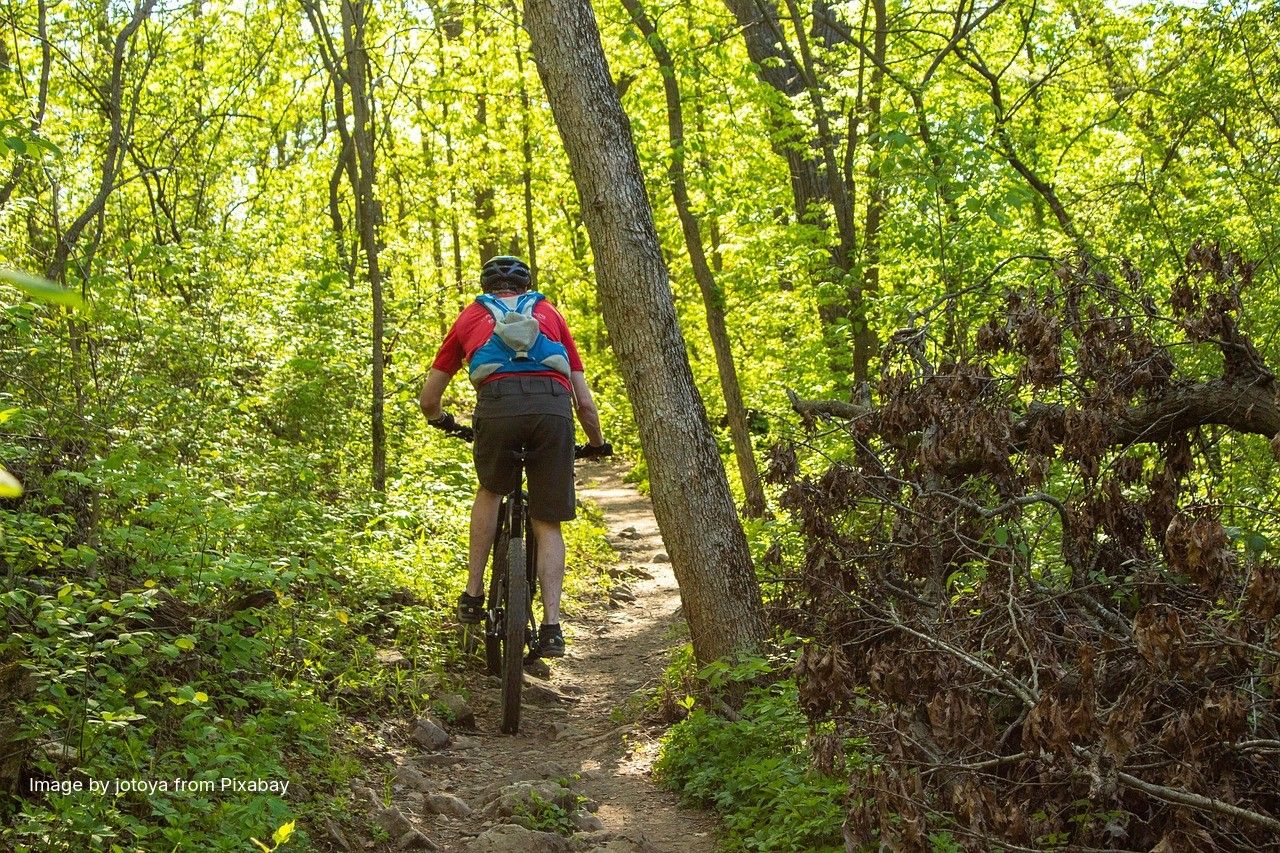 Omstreden Mountainbikeroute Zuidhorn gaat er tóch komen!