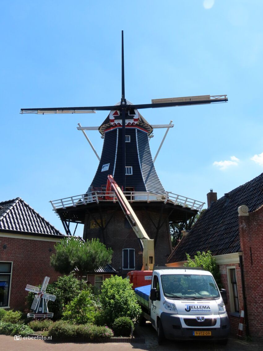 Nieuwe roeden Molen De Fortuna - Noordhorn