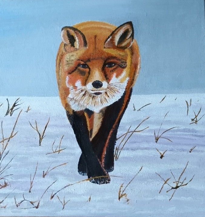 Expositie Schilderclub Aduard