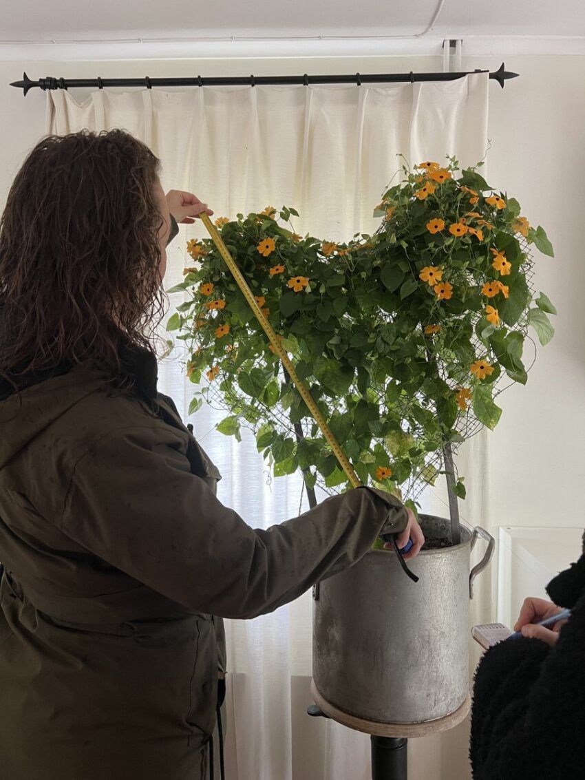 Floralia in Den Horn - Jury meet plant op