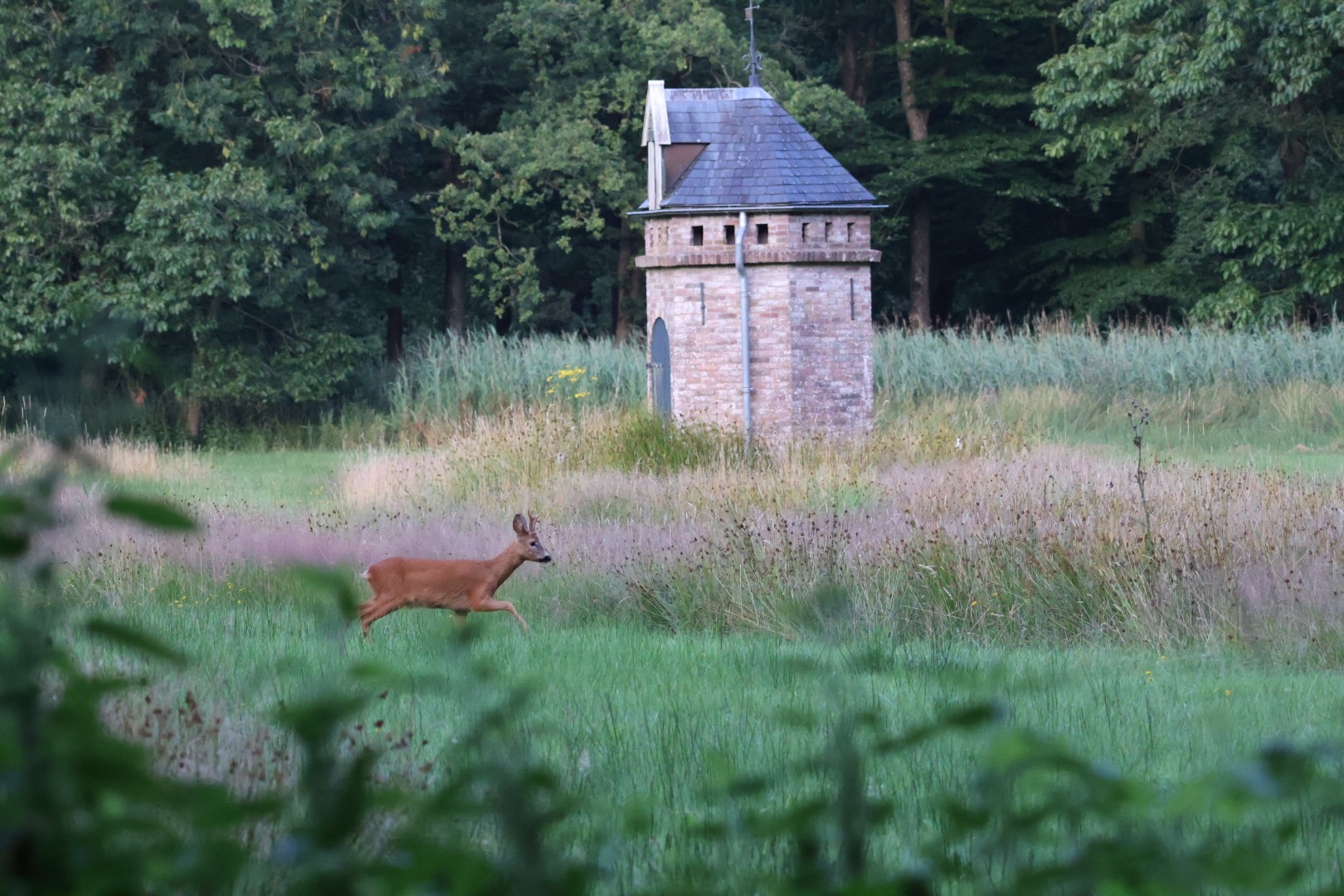 Zorgen over natuur- én recreatiewaarden in Natuurschoonbos Roden-Nietap